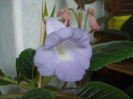 DSC05229