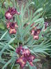 P1260229