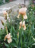 P1260243