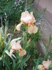 P1260244