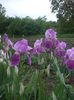 DSCF7391