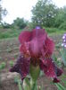 DSCF7412