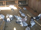 Picture 023