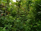DSCN7054