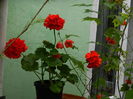 DSCN7059