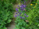 DSCN7081