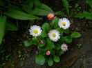 DSCN7082