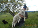 Picture 013