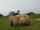 Picture 082