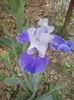 20160502_110759