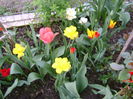 DSC02529