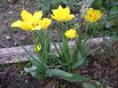 DSC02530