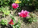 DSC02533