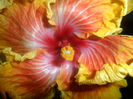 013