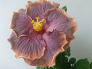 20160504_133647