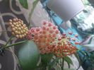 20160504_111621