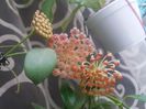 20160504_111631