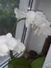 20160503_183717