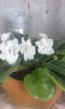 IMG_20160503_105740