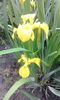 IMG_20160503_105929