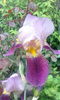 IMG_20160503_105940