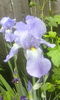 IMG_20160503_105959