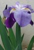 20160419_181112-1-1