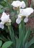 20160419_181047-1