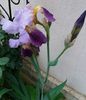 20160425_183055-1