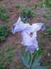 20160425_184513