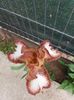 20160502_110141