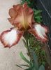 20160502_110153-1