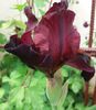 20160502_110419-2