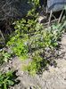 20160416_142504