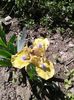20160416_142519