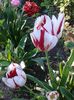 20160416_172457