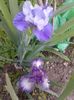 20160423_183840
