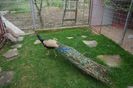 DSC06840