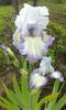 IMG_20160505_091218