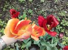20160505_140154