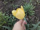 20160505_135928