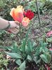 20160505_140207