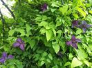 20160505_154713
