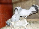 DSCN0139
