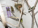 DSCN0160