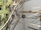 DSCN0161