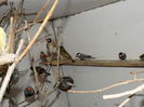 DSCN0167