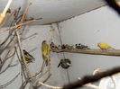 DSCN0168