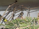 DSCN0175