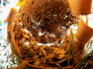 DSCN0177